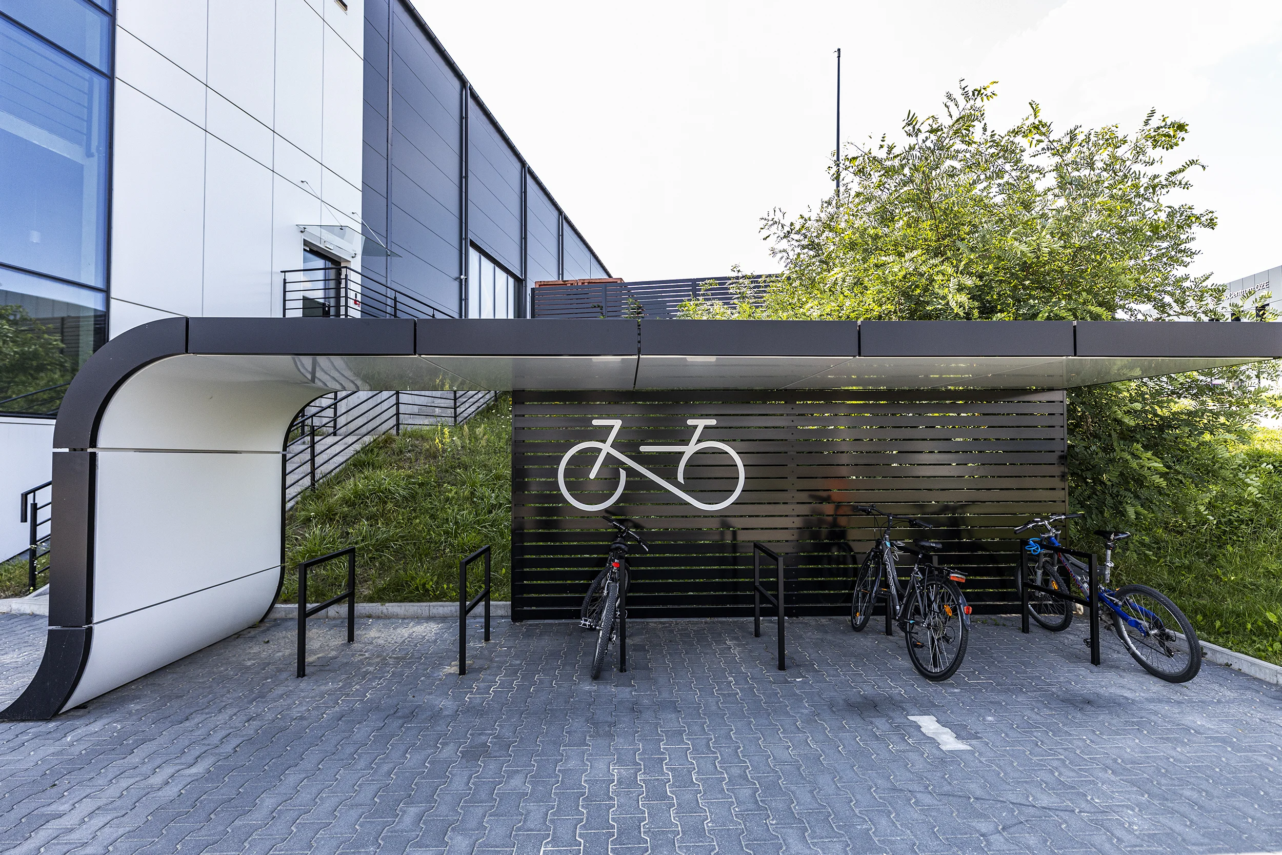 For Health, For the Planet – World Bicycle Day